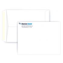 10"x13" BlueLine Envelope 28# Catalog/Booklet Envelope (Pack of 500)